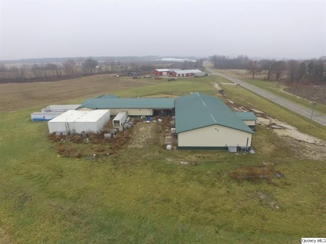 Big River Fish Corporation: 30402 State Highway 107, Griggsville, IL 62340